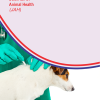Journal of Animal Health