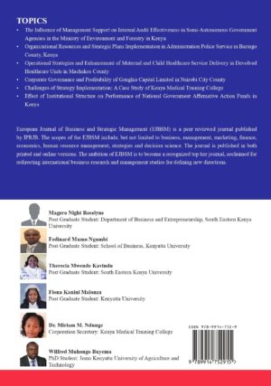 Strategy Implementation in Government Institutions - Image 2
