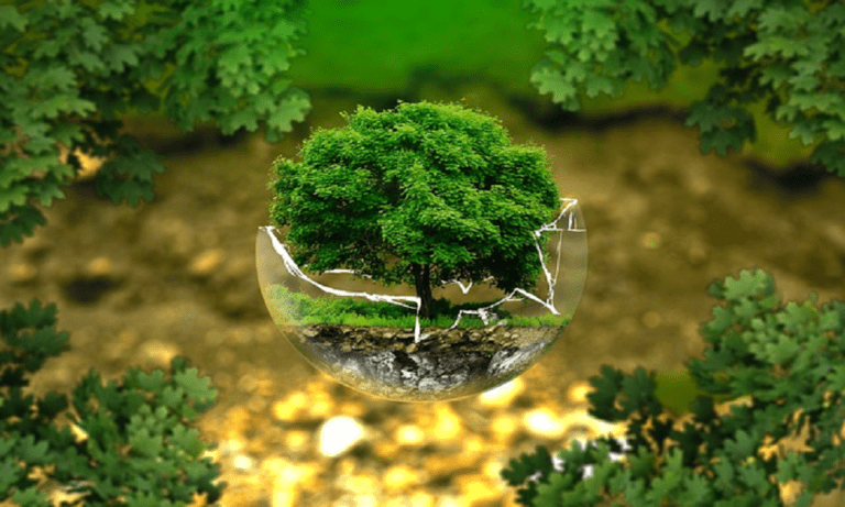 Tips and Tricks for Submitting Your Manuscript to International Journal of Biology: A Peer-Reviewed, Affordable and Rapid Journal