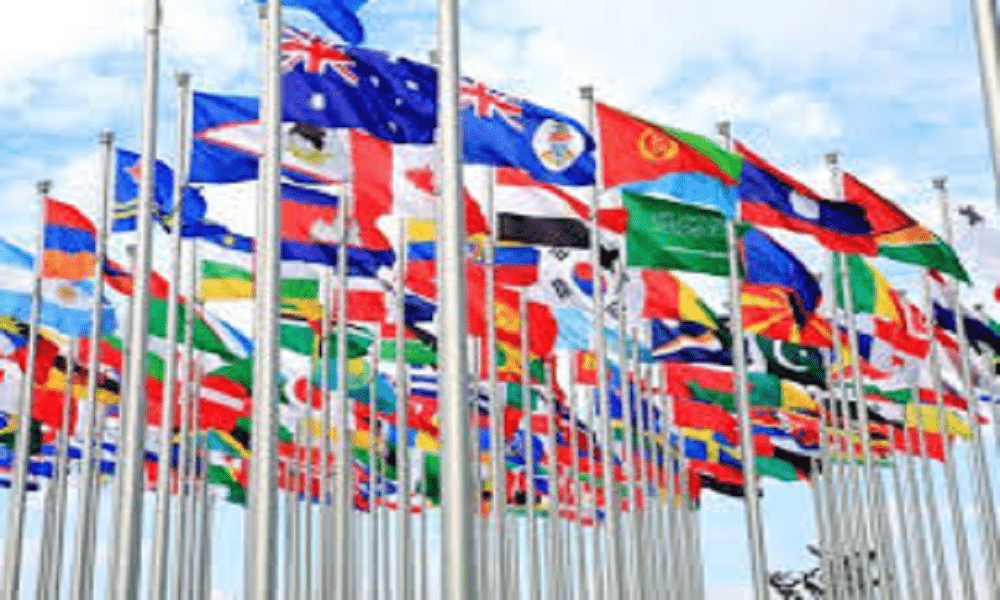 Journal of Developing Country Studies: Your Gateway to Affordable, Indexed, and Peer-Reviewed Publishing