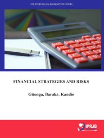 Financial Strategies and Risks
