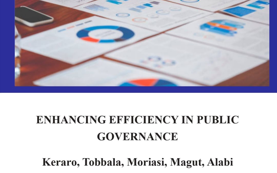 Enhancing Efficiency in Public Governance