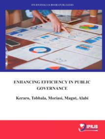 Enhancing Efficiency in Public Governance