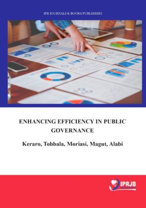 Enhancing Efficiency in Public Governance