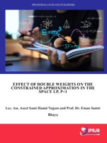 Effect of Double Weights on the Constrained Approximation in the Space Lp, p<1