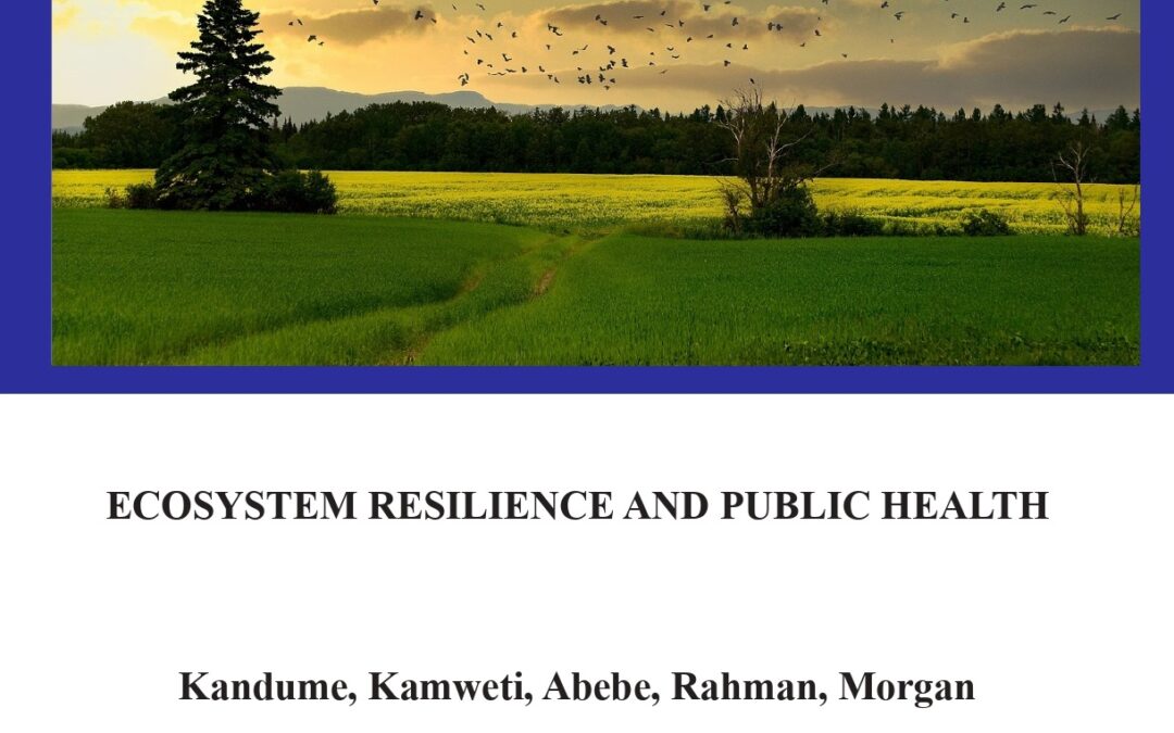 Ecosystem Resilience and Public Health