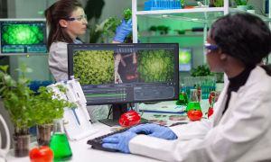 Agricultural research connecting with the global academic community