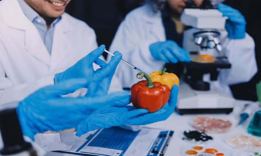 From Food Research to Publication: A Guide for JKUAT SOFNUS Researchers