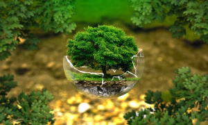 environmental research moving from fieldwork to academic publication
