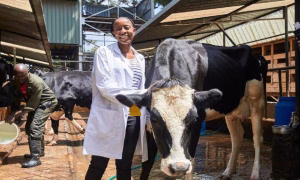 Animal science research on livestock production and nutrition at Kenyatta University